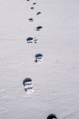 Human footprints in the snow.