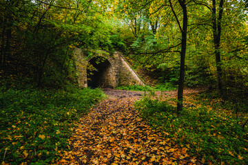 Naklejka premium An old stone archway tunnel hidden deep within a lush autumn forest with a ground covered in crisp orange fallen leaves creating a mysterious and fairytale atmosphere in the wild nature.