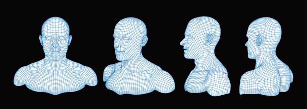 D wireframe mesh of digital human head and bust from multiple perspectives. Artificial intelligence, facial recognition technology, and biometric scanning data visualization concept