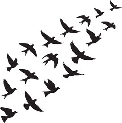 flock of birds flying in formation