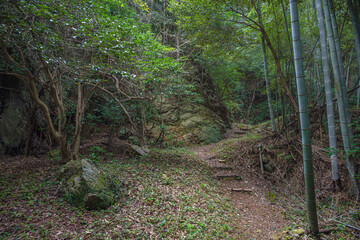 島根出雲 立石神社 聖地の森