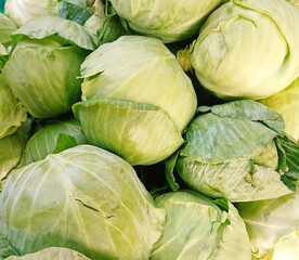 Fototapeta premium Beautiful Fresh green Cabbage heap at market Place 
