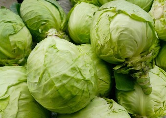 Fototapeta premium Beautiful Fresh green Cabbage heap at market Place 
