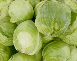Fototapeta premium Beautiful Fresh green Cabbage heap at market Place 