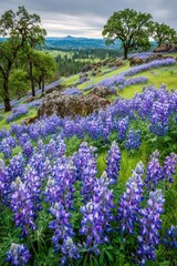 Wildflowers blooming in a scenic landscape under a cloudy sky