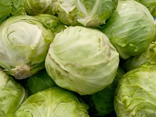 Fototapeta premium Beautiful Fresh green Cabbage heap at market Place 