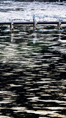 久野瀬橋と氷花　冬の久慈川　茨城