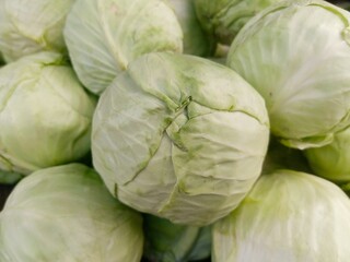Fototapeta premium Beautiful Fresh green Cabbage heap at market Place 