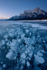 Abraham lake frozen bubbles and rocky mountains winter