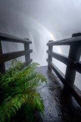 Victoria falls rainbow appearing over dramatic waterfall mist
