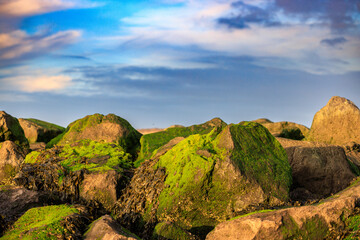 Gr&uuml;ne K&uuml;stenlinien &ndash; Begegnung von Natur und Struktur