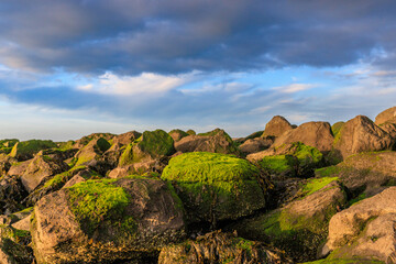Gr&uuml;ne K&uuml;stenlinien &ndash; Begegnung von Natur und Struktur