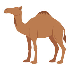Cartoon Camel Standing Illustration