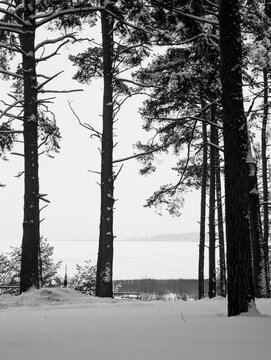 Black and white winter view of Lake Narach in Belarus.