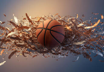 Basketball exploding in feathers