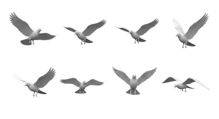 Obraz premium 3d rendered animated white seagull flying sequence with shadows on white background animation illustration and design