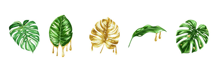 Monstera and Tropical Leaves with Gold Accents Botanical Vector. Stylish monstera and tropical foliage with gold paint splashes, elegant botanical vector elements isolated on white.
