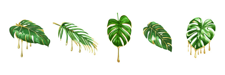 Tropical Palm and Monstera Leaves with Gold Paint Splatter. Modern tropical palm and monstera foliage with artistic gold splashes, decorative botanical vector elements.