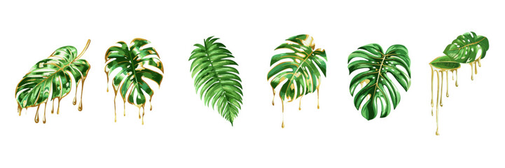Monstera Leaf with Dripping Liquid Gold Tropical Luxury Botanical Illustration. Elegant monstera leaf accented with flowing liquid gold drips, modern tropical botanical design.