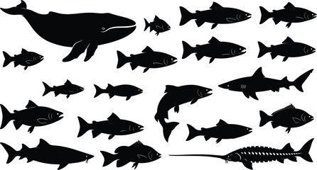 Black fish and whale silhouettes set including shark salmon and sturgeon cad drawing flat vector illustration isolated on white background © Hello Wolrd