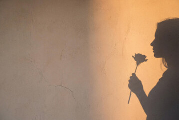 Shadow silhouette of a woman holding a single rose flower against a warm textured wall at sunset.