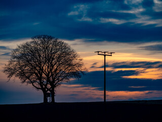 Baum neben. Strommast bei Sonnenuntergang