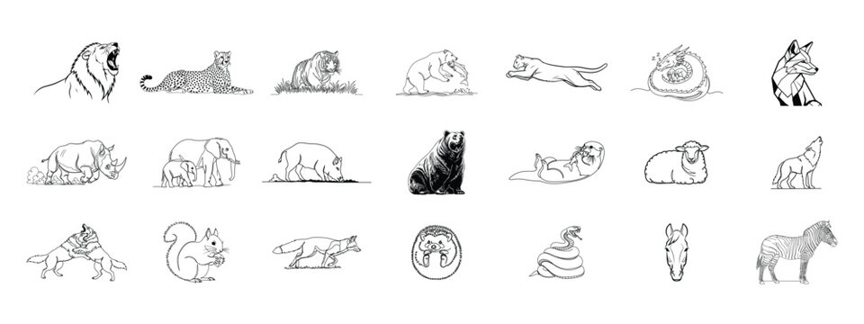 Wild Animals Collection: Line Art Illustrations of Mammals, Birds, and Reptiles