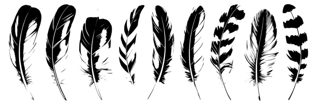 Feathers collection with diverse patterns and styles exhibiting intricate line work, bold strokes, and artistic textures in monochrome for design, decoration, and artistic projects