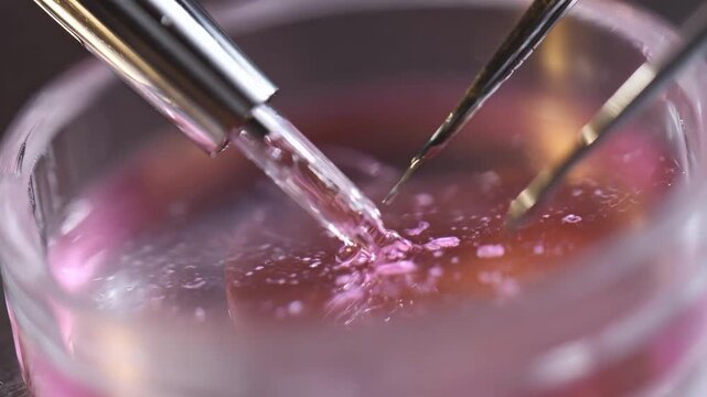 Detailed view on biopsy sample embedded in paraffin highlighting precise tissue orientation with softfocus surrounding tools.