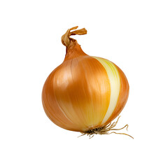 Fresh Organic Brown and Yellow Onions as Healthy Cooking Ingredients Isolated on White Background