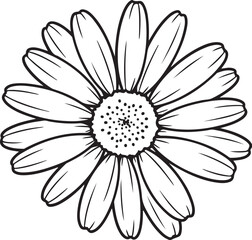 Daisy Flower Line Art Vector Bundle