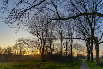 After a beautiful winter day, the sun sets behind the bushes of the small park near Het Lange Land in Zoetermeer