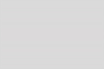 Fototapeta premium Horizontal lines forming a consistent gray background texture with a repeating pattern for design elements