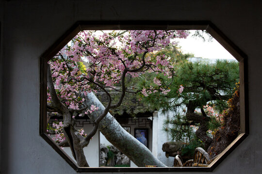 Chinese-style scenery composed of windows and flowers in Suzhou gardens, China