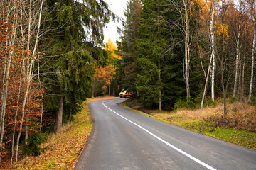 Obraz premium Curved countryside road leading through autumn forest with tall evergreen trees and colorful foliage. Scenic natural landscape with peaceful travel atmosphere and seasonal mood.
