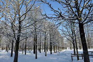  All&eacute;e enneig&eacute;e au Jardin des Tuileries en hiver &agrave; Paris