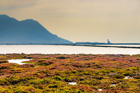 Las Salinas nature, Cabo de Gata, Spain