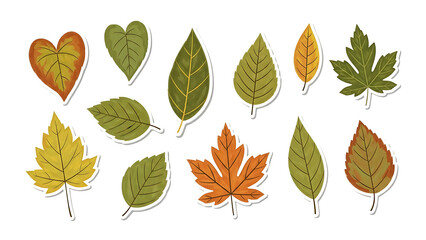 Colorful autumn leaves in various shapes and sizes on a transparent background