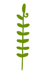 plant stem branch