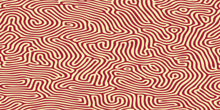 Abstract Organic Pattern of Intertwined Lines.