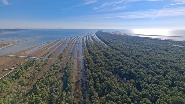 Aerial view of Divjake Karavasta area in Albania showing wetland biotope with large bird colonies, lagoons, and protected natural habitat