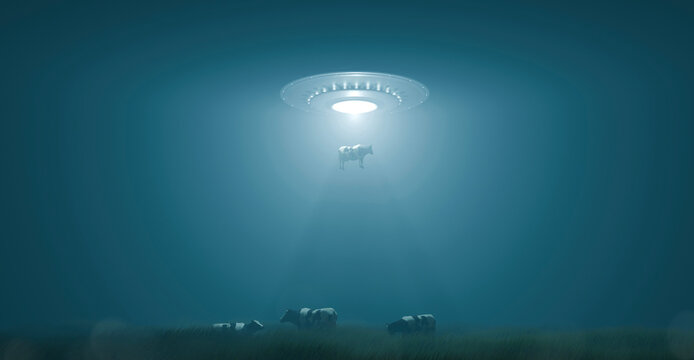 UFO abducts a cow from a field.