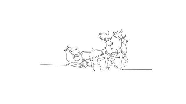 Video cute Christmas reindeer sleigh