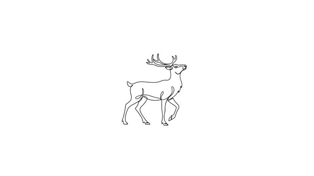 Cute Christmas reindeer silhouette video