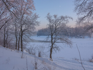 winter landscape with trees and snow