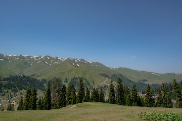 Mountain ridges and forests near Batumi, Georgia under clear sky