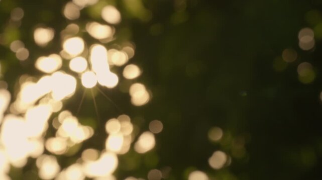 Golden sunbeams shimmering through lush green forest foliage with gentle wind. Dreamy lens flare of sun rays peeking through dense tree leaves in summer forest. Background Boken