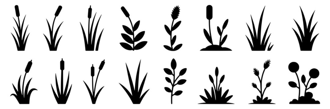 Plants silhouette collection with various grass, leafy, and floral shapes featuring organic forms and simple black outlines, ideal for nature-themed design, botanical illustrations, or decorative moti