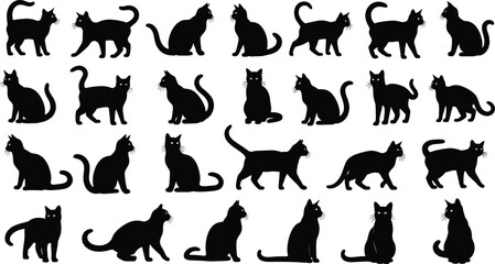 Black cat silhouette set, domestic feline poses collection, kitten sitting and walking icons, animal pet vector isolated on white background, nursery © clickwavebd