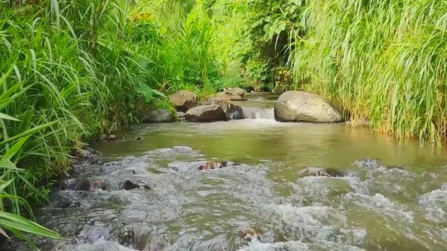 Clear River Water Flowing Gently &ndash; Relaxing Nature Background